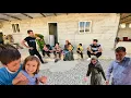 Download Lagu The ongoing crisis in Iran has caused Mahdi to worry about Fatemeh's situation in Tehran