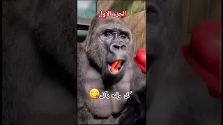 طلاب فصلي بختصار اكسبلور الجزء الاول 