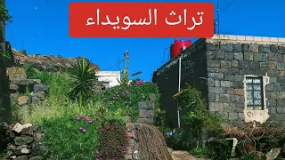 فيديو نادر تراث السويداء ربابه 