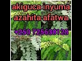 Download Lagu akiguca inyuma azahita afatwa baguhamagare, bazarekurana uhageze!!!!