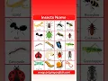 Download Lagu Insects Name in English 🐝