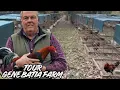 TOUR 2025 Jose Adan - Corral Gene Batia Drinking and Feeding Time Shape Outdoor Chicken Coop