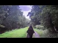 Dead, Cold, Autumn (unofficial MV clip)