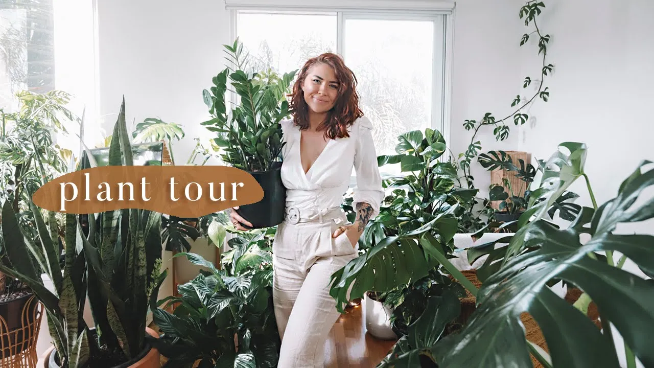 indoor plant tour 🌿 100+ houseplant collection