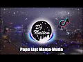 DJ DIAMOND IN THE SKY TIK TOK VIRAL x BARA BERE PAPA LIAT MAMA MUDA ( DJ Nation Remix )