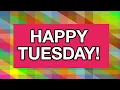 HAPPY TUESDAY Free Funny Greetings Cards - Flash Animation