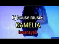 Download Lagu DJ Camelia Irwansyah KARAOKE #dj#camelia#irwansyah #djremix #karaoke