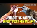 Lagu KAPAS TEMBAK VS CUCAK JENGGOT GACOR || SALING ADU KEKUATAN PUKULAN || AUDIO  SUPER JERNIH