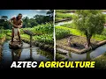 How Did Aztecs Feed 200 000 People Without Stores