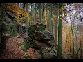 Autumnride singletrackheaven Luxemburg