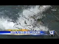 ODFW to start trout stocking