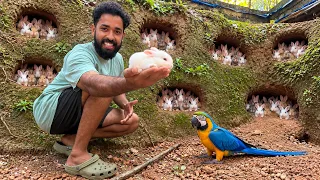 🔥ഇങ്ങനെ പോയാൽ ശെരിയാവില്ല!!!  ഇത് കിളിലൂട് അല്ല!!! | Rabbit Breeding went WRONG! | Fishing Frraks