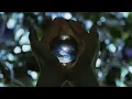 Download Lagu Aimer with chelly（EGOIST） 『ninelie』MUSIC VIDEO（FULL ver.）
