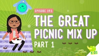 Download The Great Picnic Mix Up: Crash Course Kids #19.1 MP3