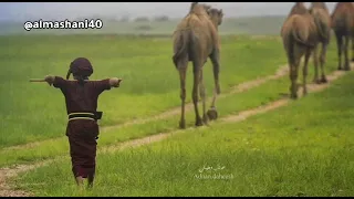 دبرارت سعيد عيجم المعشني دندنها