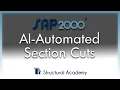 One Text File Away Automating SAP2000 Section Cuts with AI