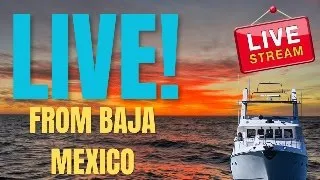Noeta is LIVE from the Baja| Friday, Nov 28th, 3 pm Mountain Time
