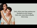 Download Lagu Shawn Mendes, Camila Cabello - Senorita Lyrics