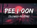 Pee Loon Lofi Mix (Remix By Moodyboy)