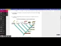 Cladogram Analysis Activity with Annotations