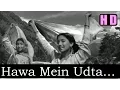Lagu Hawa Mein Udta (HD) - Lata Mangeshkar - Barsaat 1949 - Music Shankar Jaikishan - Raj Kapoor Hits