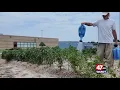 Incarcerated Gardeners at Eastern Correctional Institution Lend a Green Thumb