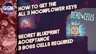 How to get the 3 Moonflower Keys and get the Acceptance Mutation Secret Blueprint Dead Cells