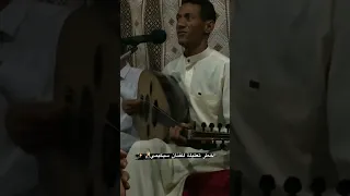 اخطر تعليلة للفنان سكيمي سكيمي عود رشوق عازف العود بلدي عود روقان ضياع 