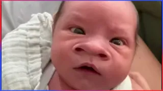 best funny videos of 2026 try not to laugh challenge impossible