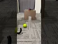 mini golf microbit