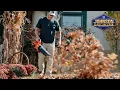 Echo Power Equipment Blowers with Johnson Fleet and Farm