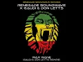 Wax Wane (Gaudi & Don Letts Rewire)