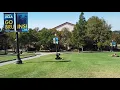 Walk on UCLA Campus Bruin Walk IIB