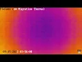 Fall Migration 2022 Thermal Camera - 2022 3 55 AM