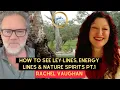 Rachel Vaughan How to SEE Ley Lines Energy Lines Nature Spirits Pt 1