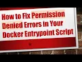 How to Fix Permission Denied Errors in Your Docker Entrypoint Script