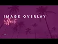 How to Add a Transparent Overlay to Background Images with CSS A Beginners Guide