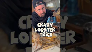 How to prepare a lobster #seafood #cooking #sailingbyefelicia