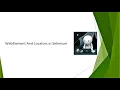 WebElement WebElement in Selenium Locators in Selenium Selenium Tutorials