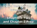 Wild Beyond the Witchlight Chapter 1 Tips and Chapter 2 Prep