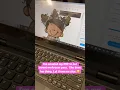 Part 5 Enlarged Melonheadz Clipart for your classroom