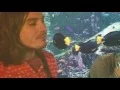 Download Lagu Summer Salt - Summer Salt (Official Video)