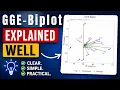 Understanding GGE Biplot Easy Plot Explanation RAISINS Statoberry