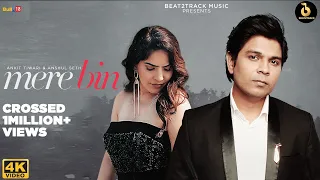 mere bin official video ankit tiwari anshul seth karishma sharma siddharth sharma beat2track music