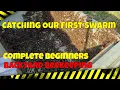 Download Lagu First Swarm Collection!! Beginner Bee Keeper
