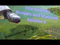 Download Lagu Into Swamps Streams and Shallows Episode 4