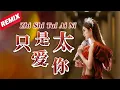 Download Lagu MANYAO REMIX ❤️‍🔥 Zhi Shi Tai Ai Ni 只是太爱你 Helen Huang LIVE - Lagu Mandarin