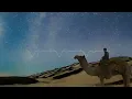 ZWIREK - ARABIAN NIGHT