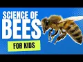 The Science of Bees For Kids by Little Lab Educational s for Toddlers