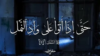 و ح ش ر ل س ل ي م ان ج ن ود ه م ن ال ج ن و ال إ نس و الط ي ر ف ه م ي وز ع ون الطبلاوى 